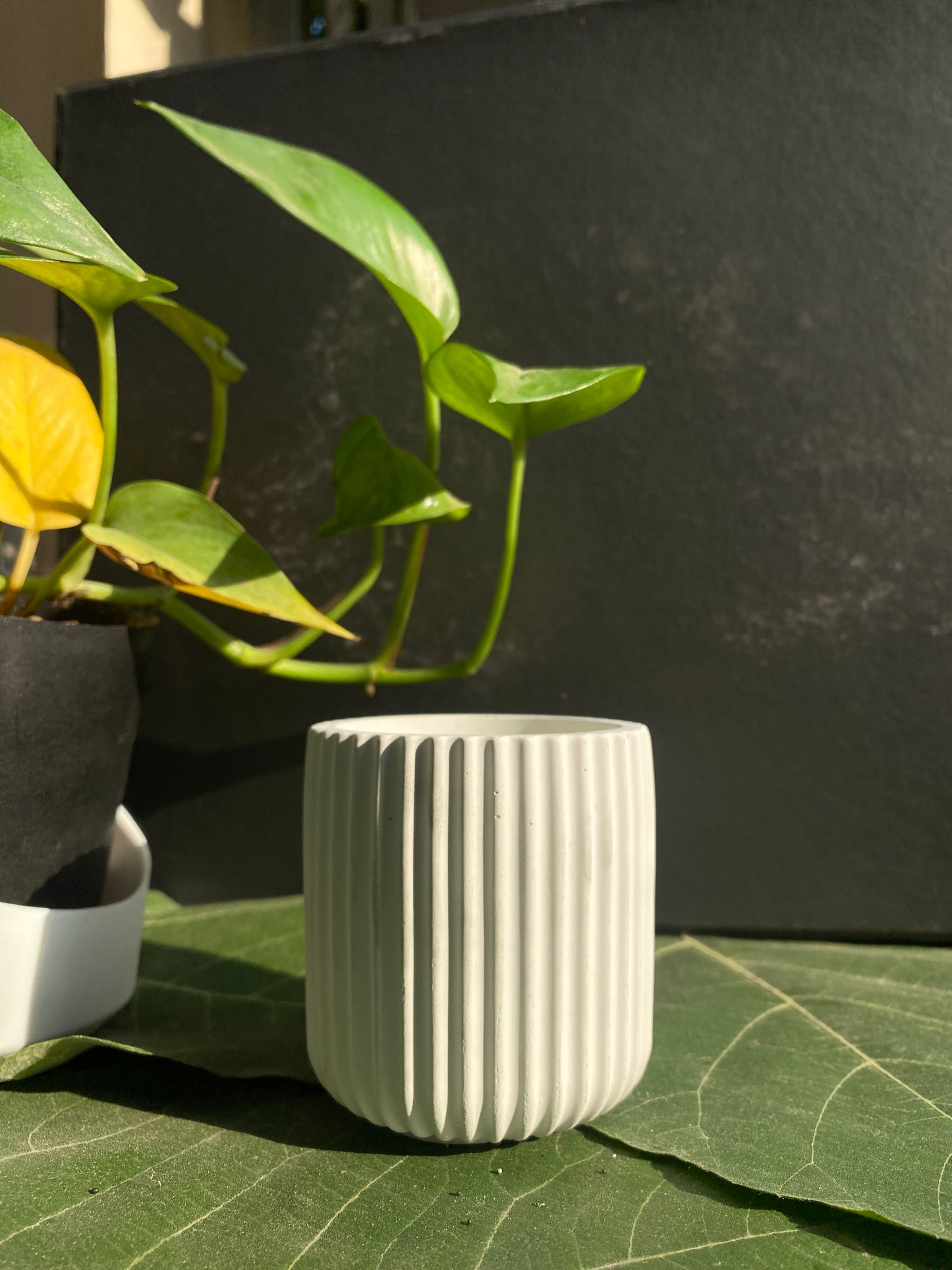 The Duo Bloom Set — Marbled Tray + Candle Cups