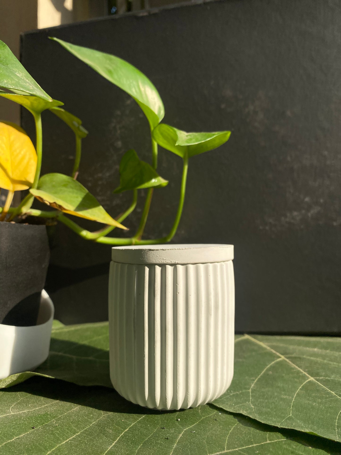 The Duo Bloom Set — Marbled Tray + Candle Cups