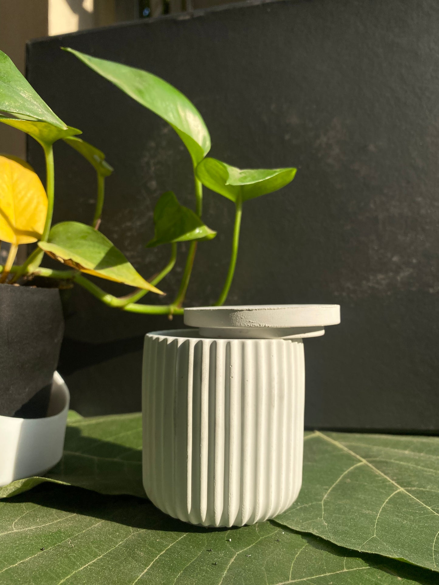 The Duo Bloom Set — Marbled Tray + Candle Cups