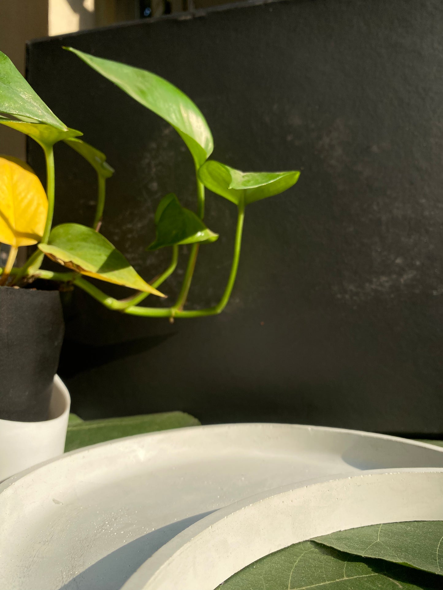 Moonlight Crescent — Lunar Candle Tray